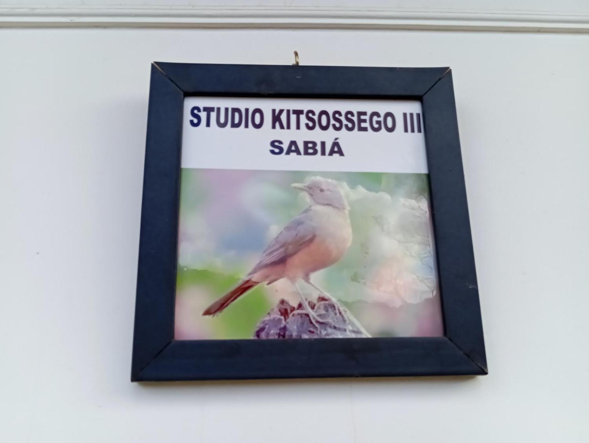 Studio Kitsossego Curitiba Exterior foto